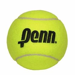 Penn 4 Inch Mini Jumbo Tennis Ball