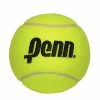 Penn 10 Inch Jumbo Inflatable Tennis Ball 2 Penn 10 Inch Jumbo Inflatable Tennis Ball -Gamma Shop 581022 4 in penn ball 1a5a5814 9846 4bdd a851 b5009a69d2bd 1024x1024