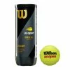 Wilson US Open Extra Duty Tennis Balls 1 Wilson US Open Extra Duty Tennis Balls -Gamma Shop US Open Official Extra Duty 3ball Can Front LOGO 5135b62b bfd1 4074 9182 f51b33156923 1024x1024