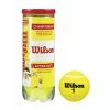 Wilson Championship Extra Duty Tennis Balls 2 Wilson Championship Extra Duty Tennis Balls -Gamma Shop WILSONChampionshipBalls 1024x1024
