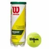 Wilson Championship Regular Duty Tennis Balls 1 Wilson Championship Regular Duty Tennis Balls -Gamma Shop WRT100301Championship Regular Duty 1024x1024