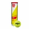 Wilson Championship Extra Duty Tennis Balls (4 Ball Can) 1 Wilson Championship Extra Duty Tennis Balls (4 Ball Can) -Gamma Shop WRT110000 Wilson Championship Extra Duty 4Ball Can 1024x1024