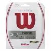 Wilson NXT Power 16 Tennis String -Gamma Shop WRZ941600 NXT Power 16 Pkg 1024x1024