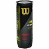 Wilson US Open Regular Duty Tennis Balls 2 Wilson US Open Regular Duty Tennis Balls -Gamma Shop l19242 1000x 7b6067e1 a552 47d9 a814 79ded3f035dd 1024x1024